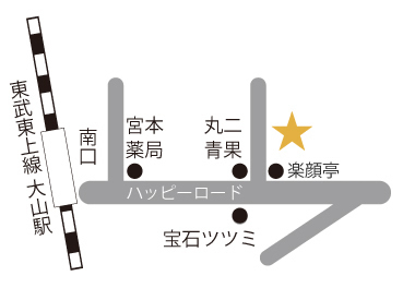 レオ大山店マップ